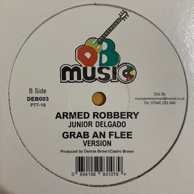 Junior Delgado - Famine / Armed Robbery picture 3