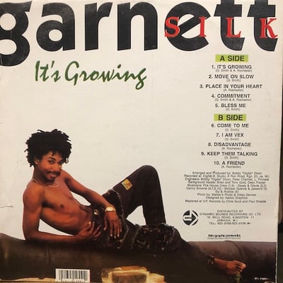 Garnett Silk - It's Growing picture 2