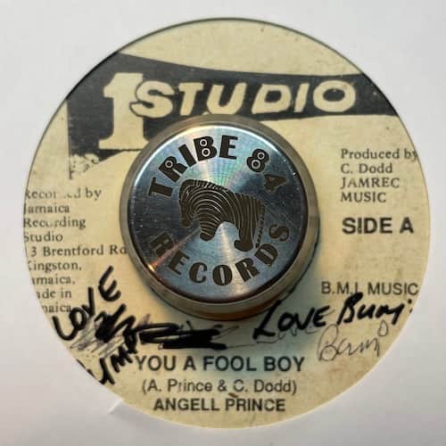 Angela Prince – You A Fool Boy