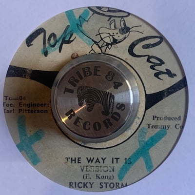 Ricky Storm - The Way It Is picture 2