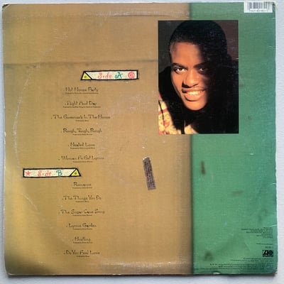 Lieutenant Stitchie - Wild Jamaican Romance picture 2