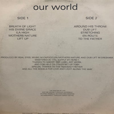 The Realeyes Players - Our World picture 2