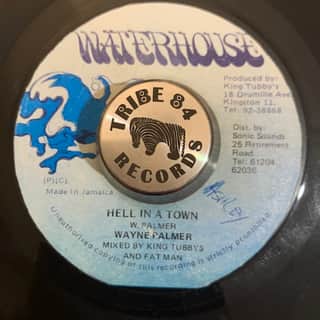 Wayne Palmer – Hell In A Town