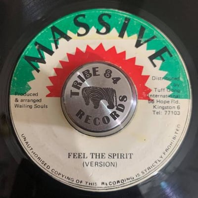 Wailing Souls - Feel The Spirit picture 2