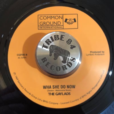 The Gaylads - You Had Your Chance / Wha She Do Now picture 2