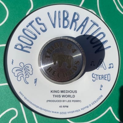 King Medious - This World picture 2