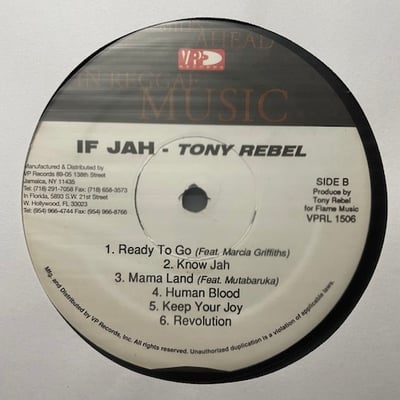 Tony Rebel - If Jah picture 3