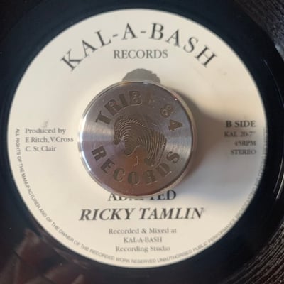 Ricky Tamlin - Untitled picture 2