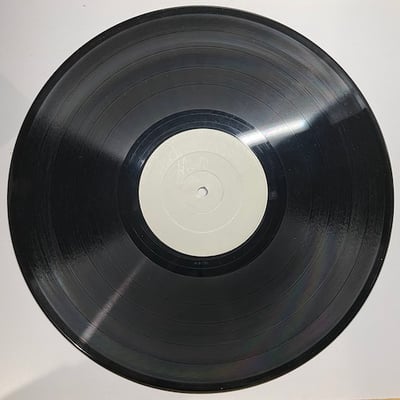 The Revolutionaries - Musical Dub Attack / Shark Dub picture 3