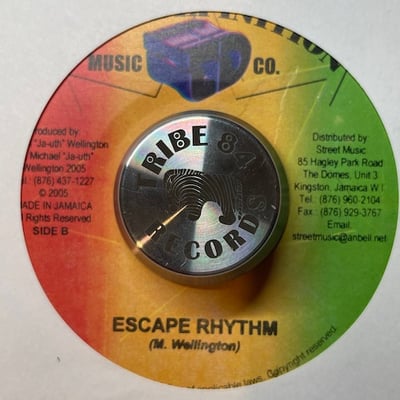 Sizzla - Jah Will picture 2