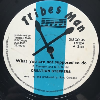 The Creation Steppers - What You Are Not Supposed To Do picture 2
