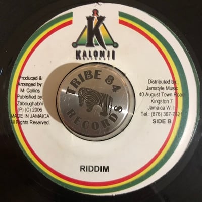 Sizzla - Chant Dem Down picture 2