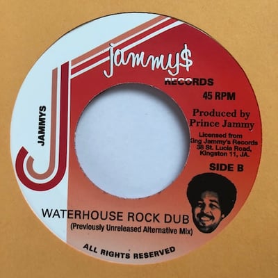 Mighty Rudo - Ain't No House (Previously Unreleased Alternative Mix) picture 2