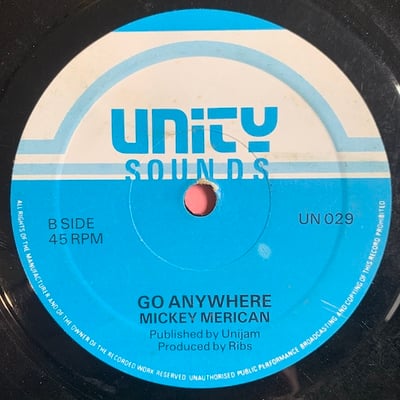 Mikey Merican - Ride The Rhythm / Go Anywhere picture 2