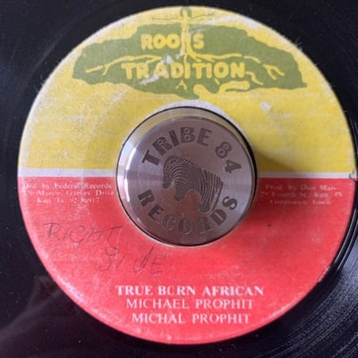 Michael Prophet - True Born African picture 2