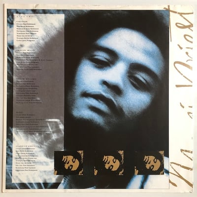 Maxi Priest, Caution - You're Safe picture 3