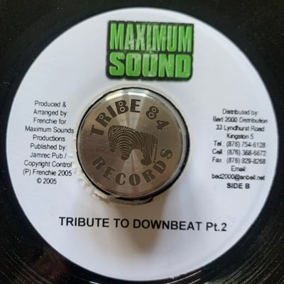Anthony B - I Understand / Tribute To Downbeat Pt.2 picture 2