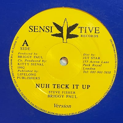 Briggy Paul - Nuh Teck It Up picture 2