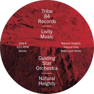 GUIDING STAR ORCHESTRA - Natural Heights picture 5