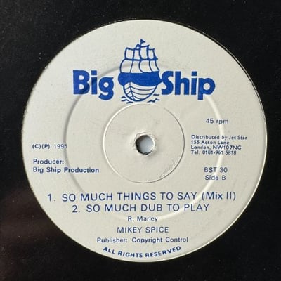 Mikey Spice - So Much Things To Say picture 2