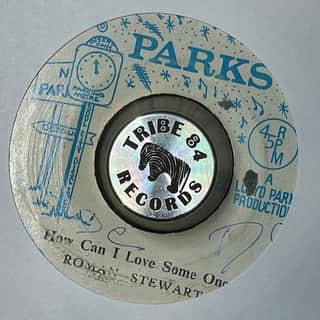 Roman Stewart, Skin, Flesh & Bones – How Can I Love Someone / Version