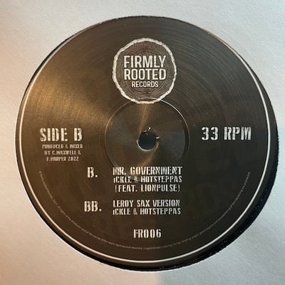 Ickle, Hotsteppas, Prince Jamo, Lionpulse - No Love, No Peace / Mr. Government picture 2