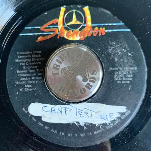 Higgs And Sistrens – Them Can't Test We