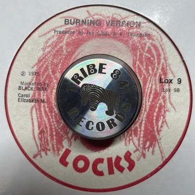 Sylford Walker - Burn Babylon picture 2