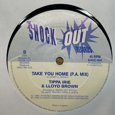 Tippa Irie, Lloyd Brown - Take You Home picture 2