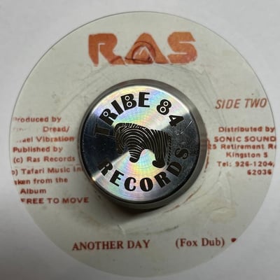 Israel Vibration - Another Day picture 2