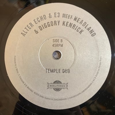 Alter Echo, E3, Headland, Diggory Kenrick - Temple Duel picture 4
