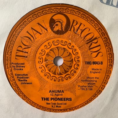 The Pioneers - Riot In A Notting Hill picture 2