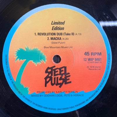 Steel Pulse - Prediction picture 3