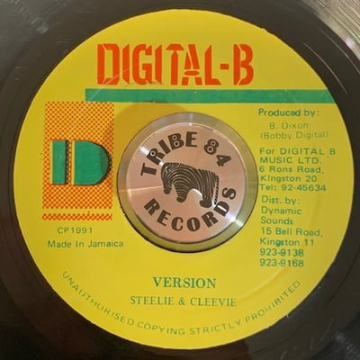 Shaka Shamba - Reggae Fight picture 2