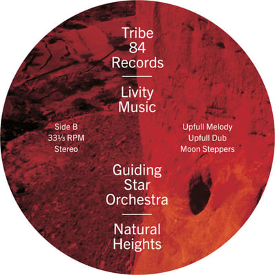 GUIDING STAR ORCHESTRA - Natural Heights picture 4