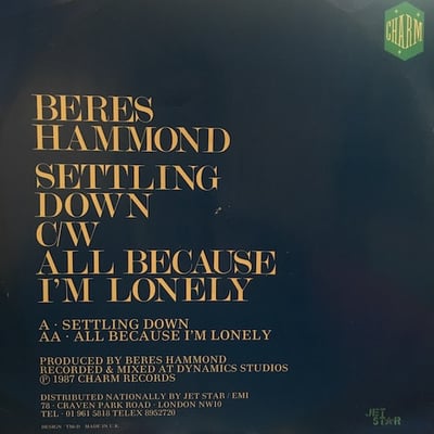 Beres Hammond - Settling Down / All Because I'm Lonely picture 3