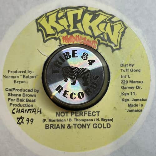 Brian & Tony Gold – Not Perfect