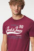 T-shirt JACK AND JONES Harvest 12210819_tri_19