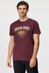 T-Shirt JACK AND JONES Stamp 12211446_tri_14