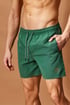 Kopalne kratke hlače JACK AND JONES Fiji 12225961_39 - temno-zelena