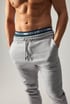 Trenirka hlače JACK AND JONES JPSTGordon 12249274_tep_21