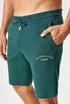 Pánske bavlnené šortky šortky JACK AND JONES JPSTGordon 12289726_sor_13 - malachitová