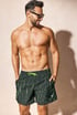 Pánské koupací šortky JACK AND JONES JPSTKauai Rift 12291509_02