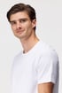 2 PACK witte T-shirts bugatti O-neck 2P_50152_110_tri_06
