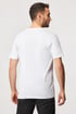 2er-PACK T-Shirts JACK AND JONES 2p12133913_tri_08