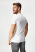 2PACK Pánské bavlněné tričko MEN-A Oscar 2pATXmen_308_tri_09