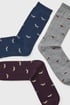 3PACK Ponožky Finnegan vysoké 3P22938_pon_09