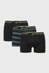 3 PACK Tom Tailor Hanley boxeralsó 3P75024_box_07