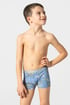 3PACK jongens boxershorts Rolando 3PAB301I303_box_20 - meerkleurig