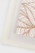 3 PACK Konyharuha Letty Grain 3PLettyGrain_DEC_03